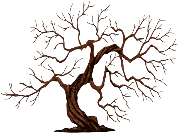 This png image - Tree Leafless PNG Transparent Clipart, is available for free download