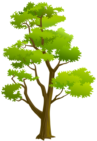 This png image - Tree PNG Clip Art, is available for free download