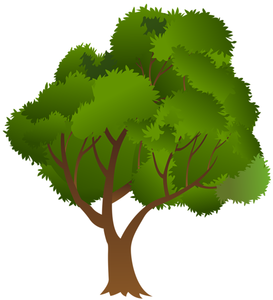 This png image - Tree PNG Clip Art Image, is available for free download