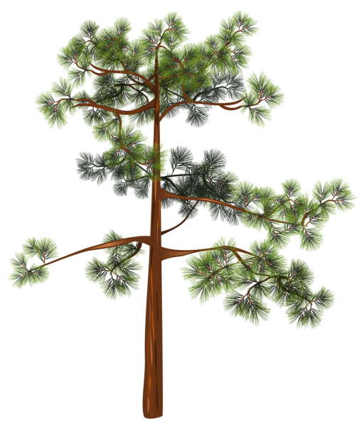 This png image - Tree PNG Clipart Image, is available for free download