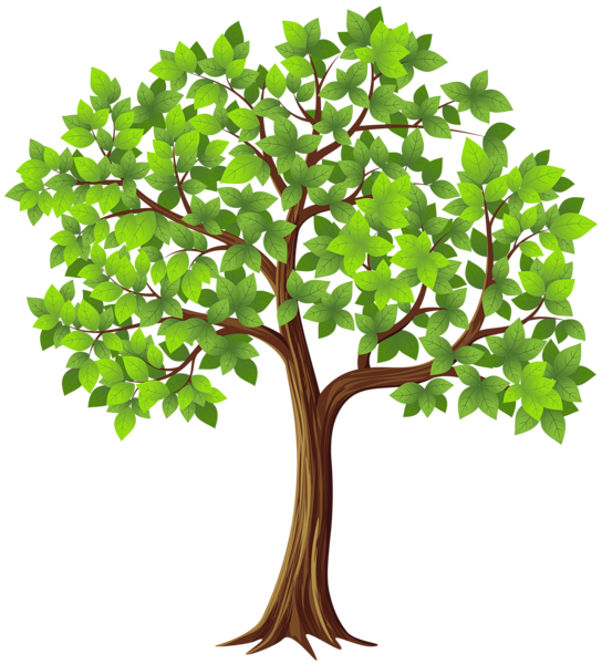 This png image - Tree PNG Transparent Clip Art Image, is available for free download