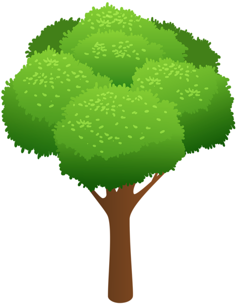 Tree Transparent Clip Art Image | Gallery Yopriceville - High-Quality