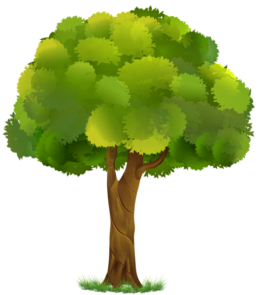 This png image - Tree Transparent Clip Art Image, is available for free download
