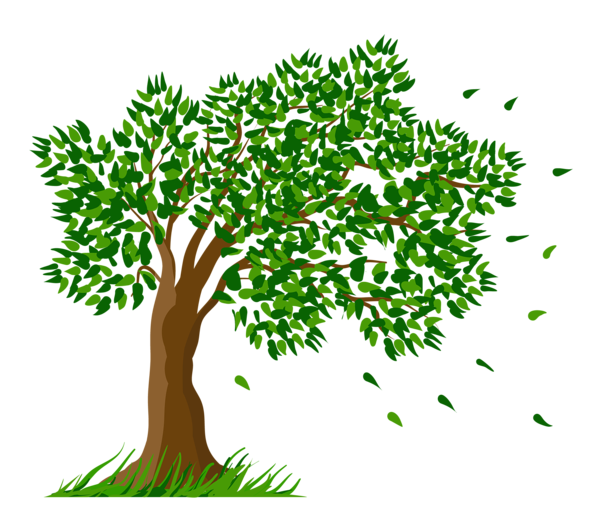 This png image - Tree Transparent Clipart Picture, is available for free download