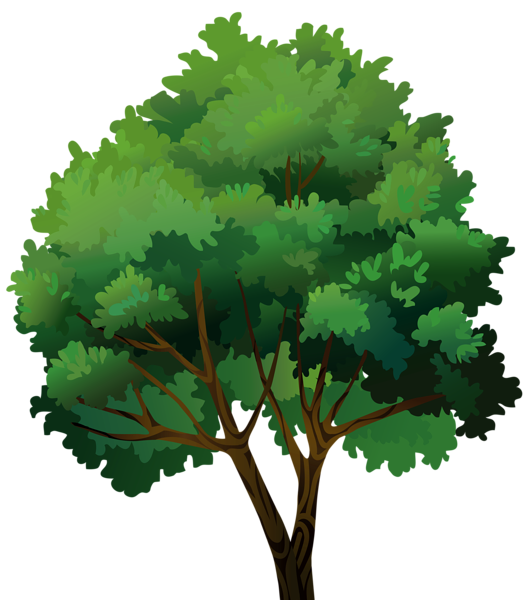 Tree Transparent Png Clip Art Image 