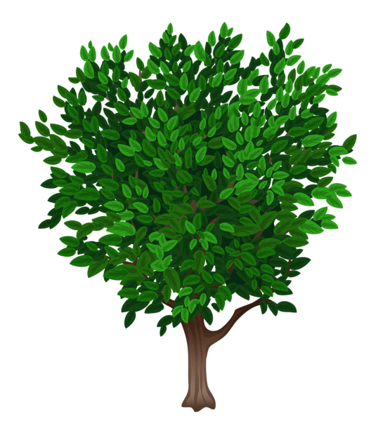 Tree Transparent PNG Clipart Picture | Gallery Yopriceville - High