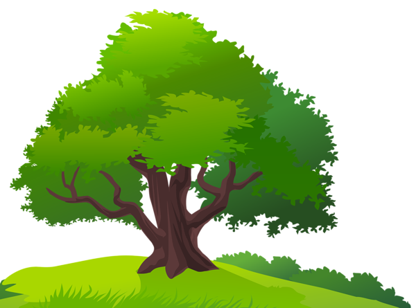 This png image - Tree and Grass PNG Clipart Image, is available for free download