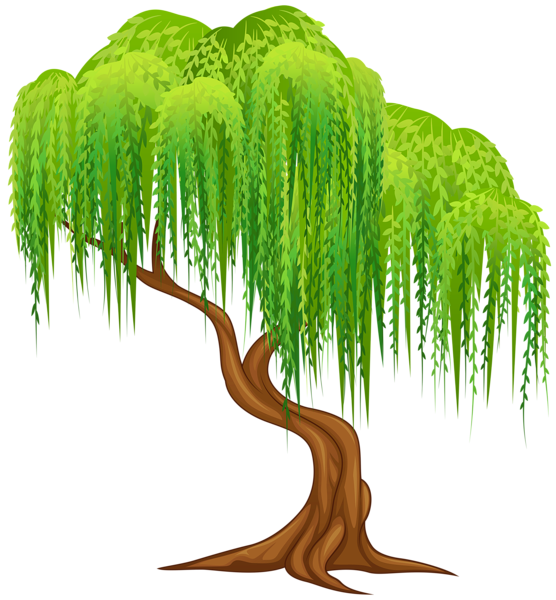 Willow Tree Transparent PNG Clip Art Image | Gallery Yopriceville