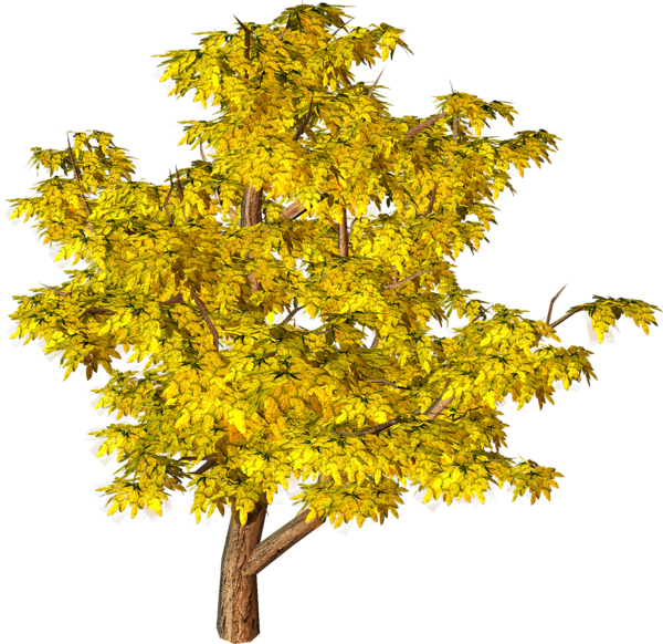 This png image - Yellow Fall Tree PNG Clipart, is available for free download