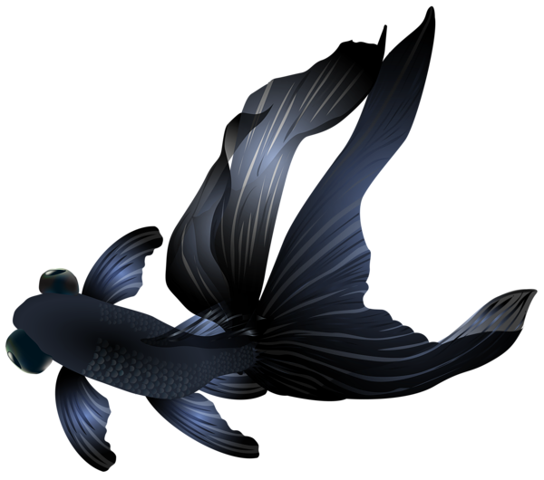 This png image - Black Goldfish PNG Transparent Clip Art Image, is available for free download