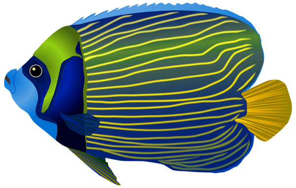 This png image - Blue Fish PNG Clip Art Image, is available for free download