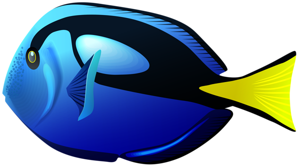 This png image - Blue Tang Fish PNG Clipart, is available for free download