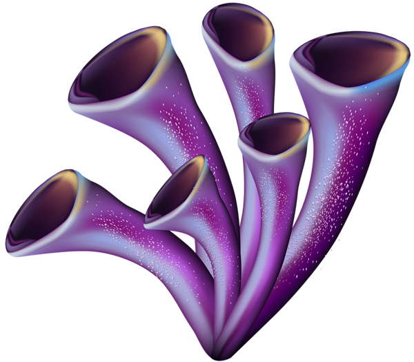 Coral Transparent PNG Clip Art | Gallery Yopriceville - High-Quality