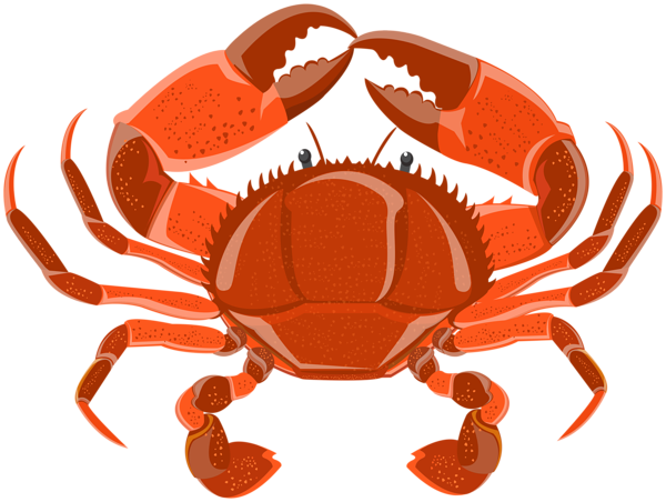 This png image - Crab PNG Clipart, is available for free download