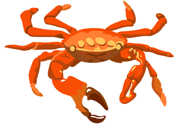This png image - Crab Transparent PNG Clip Art Image, is available for free download