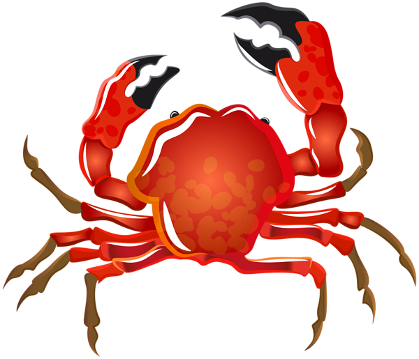 This png image - Crab Transparent PNG Image, is available for free download