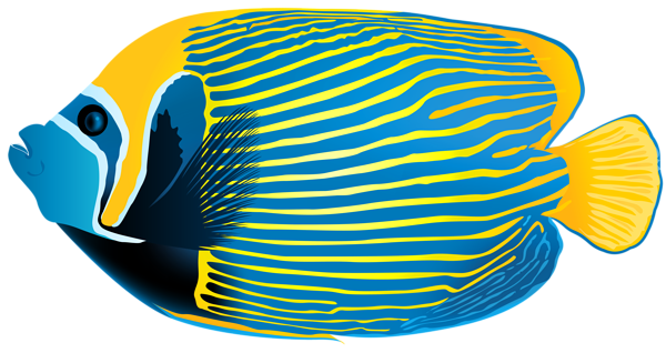 This png image - Emperor Angelfish PNG Transparent Clip Art Image, is available for free download