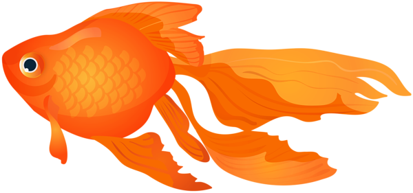 This png image - Goldfish Transparent PNG Clip Art Image, is available for free download