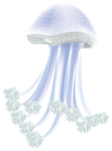 This png image - Jellyfish PNG Transparent Clip Art Image, is available for free download