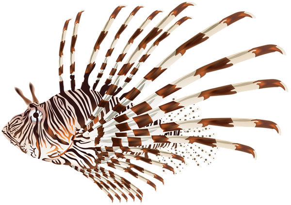 This png image - Lionfish PNG Transparent Clip Art Image, is available for free download