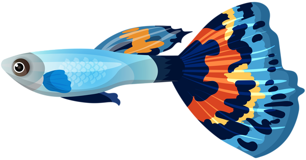 This png image - Male Guppy Fish PNG Clip Art Image, is available for free download