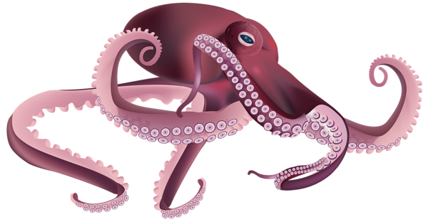 This png image - Octopus PNG Transparent Clip Art Image, is available for free download