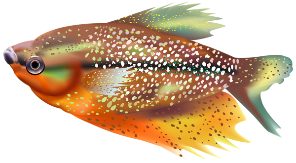 This png image - Orange Fish Transparent Clip Art Image, is available for free download