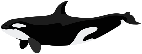 This png image - Orca PNG Clip Art Image, is available for free download