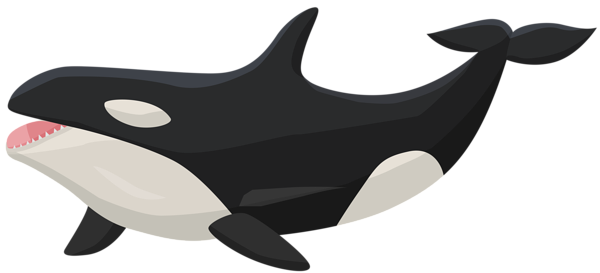 This png image - Orca Transparent PNG Clip Art Image, is available for free download