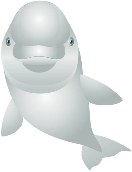 This png image - White Dolphin Cartoon Transparent Clip Art Image, is available for free download