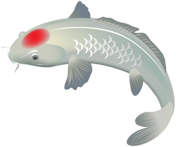 This png image - White Koi Fish PNG Clip Art Image, is available for free download