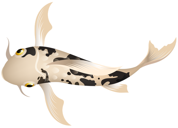 This png image - White Koi Fish PNG Clipart, is available for free download