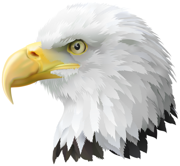 American Eagle Head Transparent PNG Clip Art Image ...