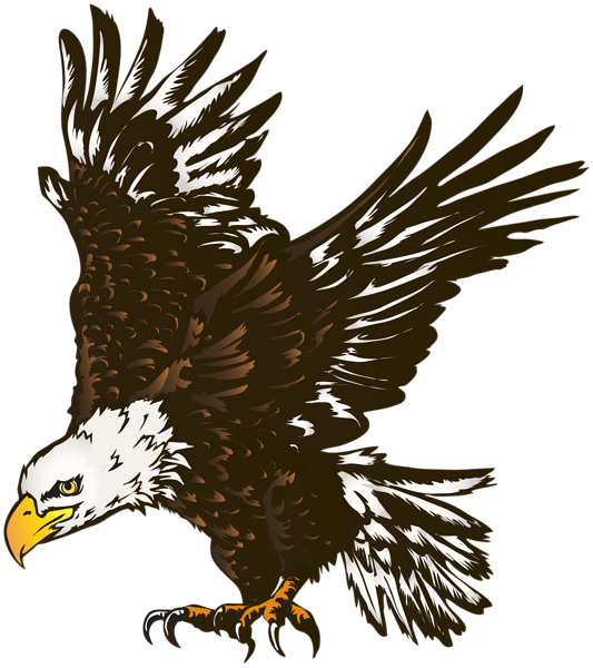 American Eagle PNG Clipart | Gallery Yopriceville - High-Quality Free ...