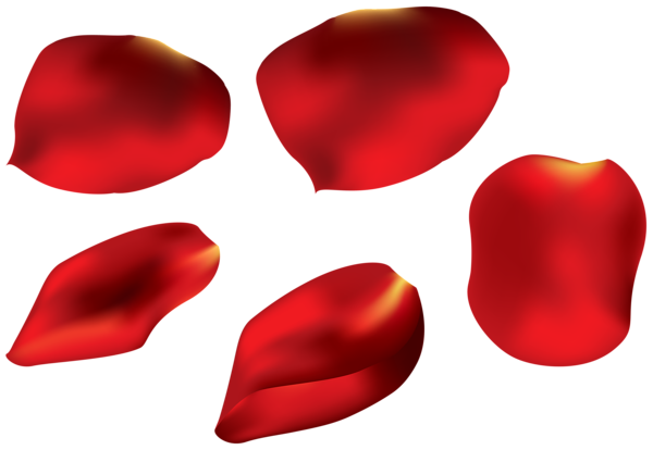 This png image - Rose Petals Transparent PNG Clip Art Image, is available for free download