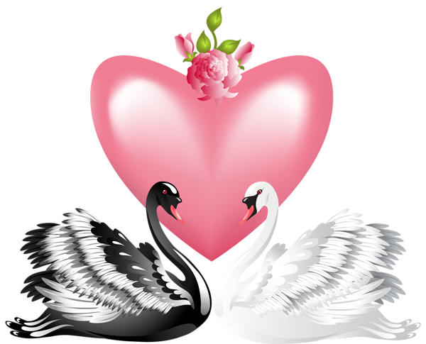 This png image - Valentine's Day Love Swans Transparent PNG Clip Art Image, is available for free download