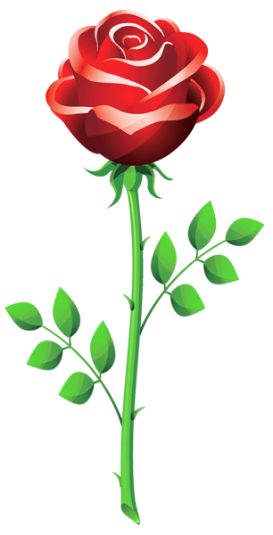 Rose PNG Clipart Picture | Gallery Yopriceville - High-Quality Free ...