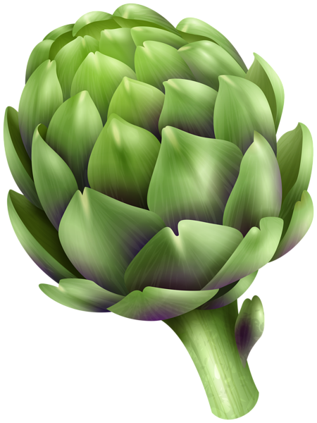 This png image - Artichoke PNG Clip Art, is available for free download