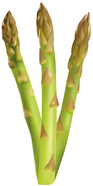 This png image - Asparagus Free PNG Clip Art Image, is available for free download