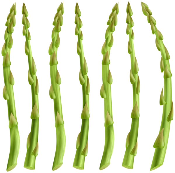 This png image - Asparagus PNG Clip Art, is available for free download