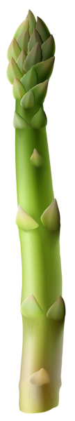 This png image - Asparagus PNG Clip Art Image, is available for free download