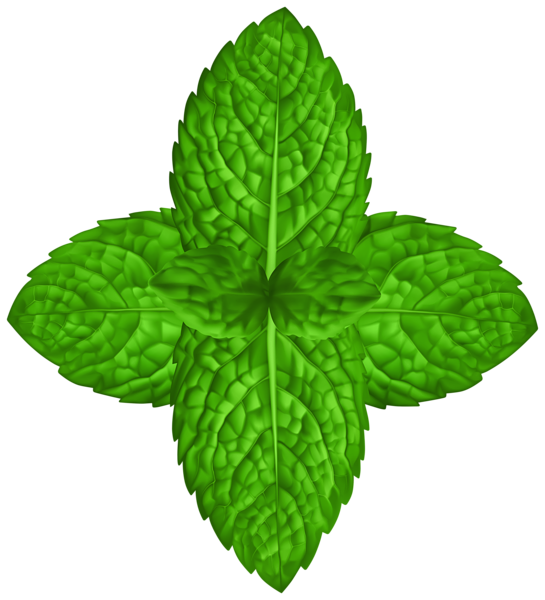 This png image - Basil Leaves PNG Clipart, is available for free download