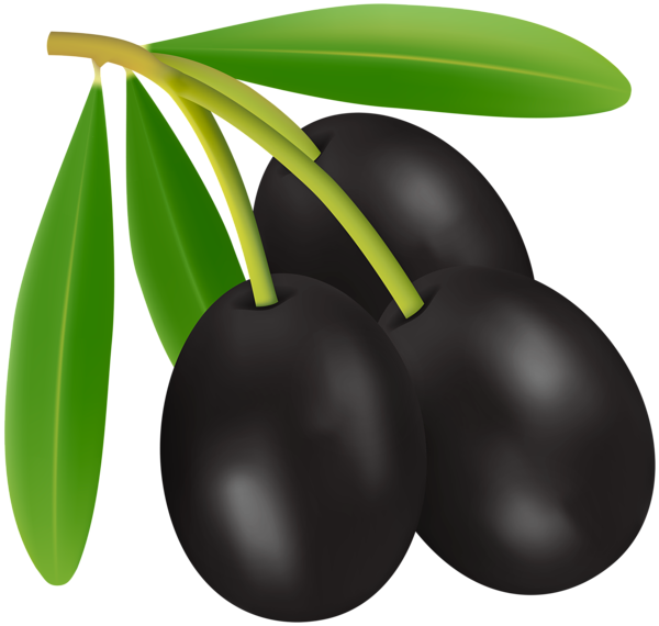 This png image - Black Olives PNG Clipart, is available for free download