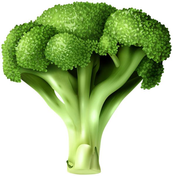 This png image - Broccoli PNG Clip Art, is available for free download