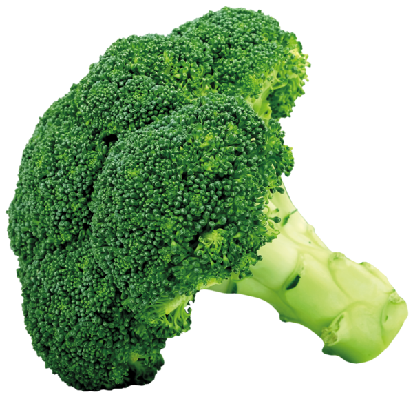 This png image - Broccoli PNG Picture, is available for free download