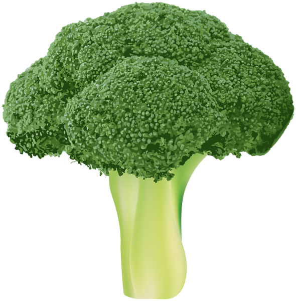 This png image - Broccoli Transparent PNG Clip Art Image, is available for free download