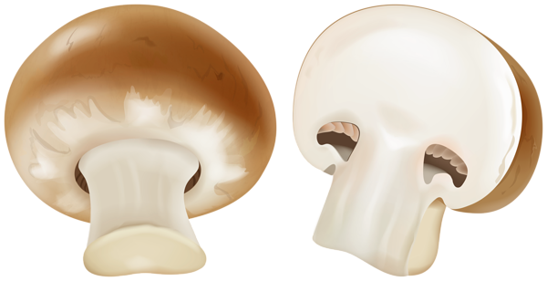 This png image - Brown Mushroom Clip Art Image, is available for free download