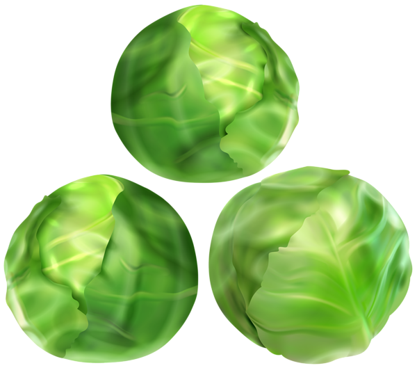 This png image - Brussels Sprouts PNG Clip Art Image, is available for free download
