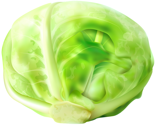 This png image - Cabbage Free PNG Clip Art Image, is available for free download