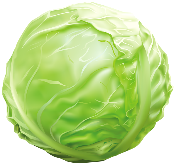 This png image - Cabbage PNG Clipart Image, is available for free download